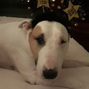 Meet your Posher, Francesca